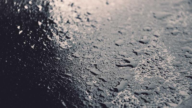 Afbeelding van Aquarium Burgers Zoo