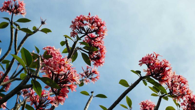 Afbeelding van Dierentuin Emmen