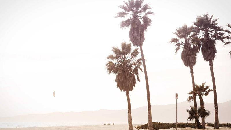 Afbeelding van Tulpenroute Flevoland